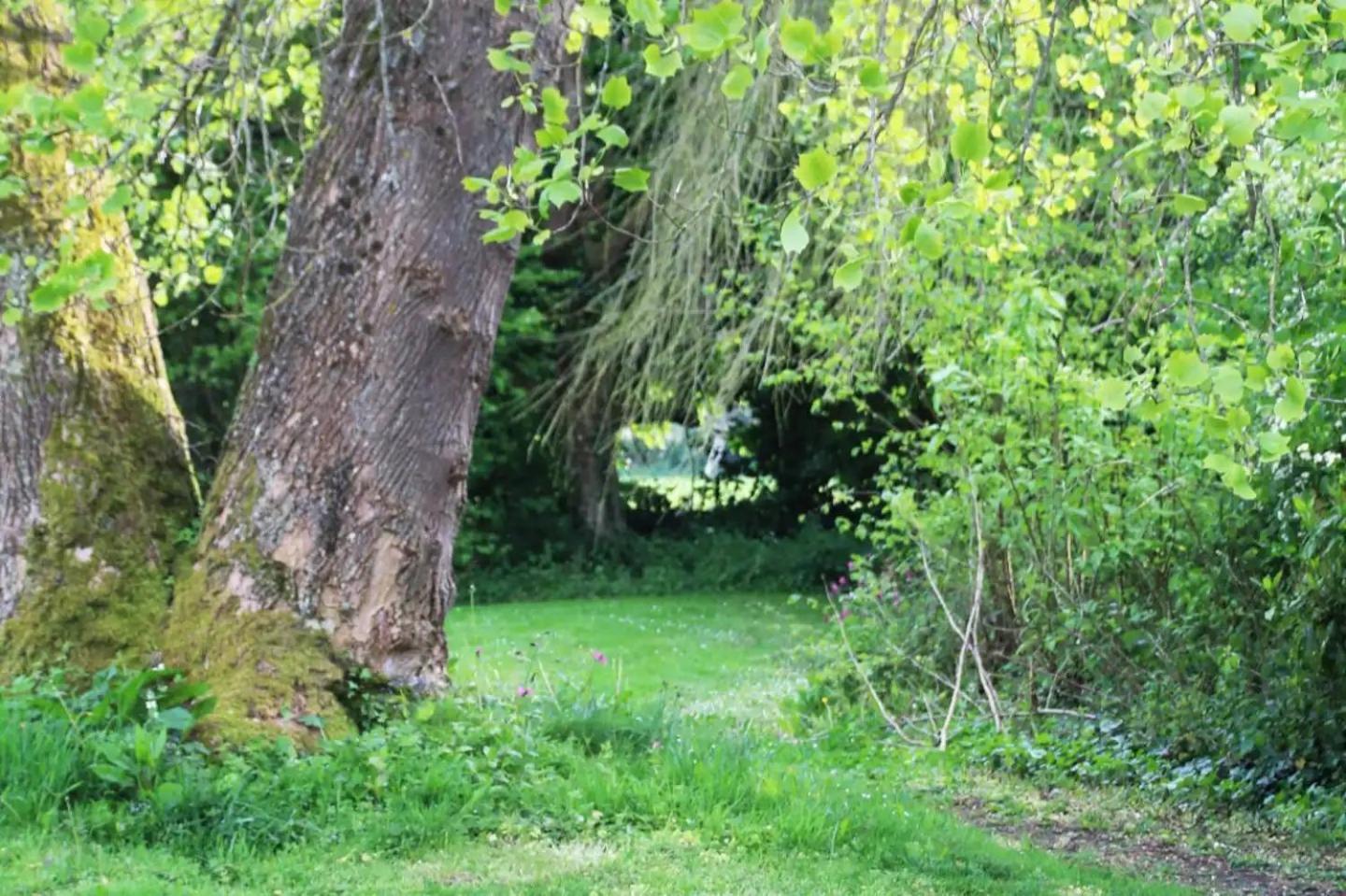 Charmant Cottage 8 Personnes En Normandie Cleuville Exterior foto